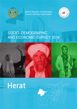 Socio-Demographic and Economic Survey 2016