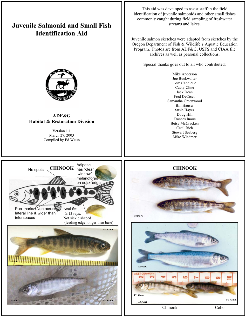 Juvenile Salmonid and Small Fish Identification