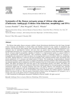 Systematics of the Damon Variegatus Group of African Whip Spiders