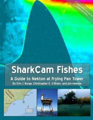 Sharkcam Fishes a Guide to Nekton at Frying Pan Tower by Erin J