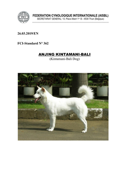 ANJING KINTAMANI -BALI (Kintamani-Bali Dog)