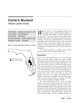 Carter's Mustard