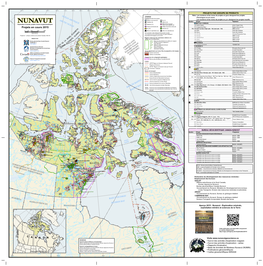 NUNAVUT CE Nickel-Cuivre-Platine (0) 100 Arctic Copper Arctic Copper Corp