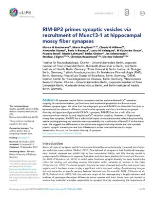 RIM-BP2 Primes Synaptic Vesicles Via Recruitment of Munc13-1 At