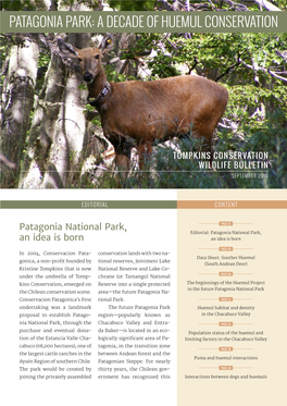 Patagonia Park: a Decade of Huemul Conservation