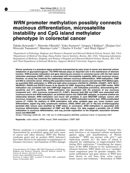 WRN Promoter Methylation Possibly Connects Mucinous Differentiation, Microsatellite Instability and Cpg Island Methylator Phenotype in Colorectal Cancer