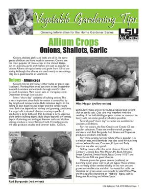 Allium Crops Onions, Shallots, Garlic Onions, Shallots, Garlic and Leeks Are All in the Same Genus of Allium and Have Much in Common