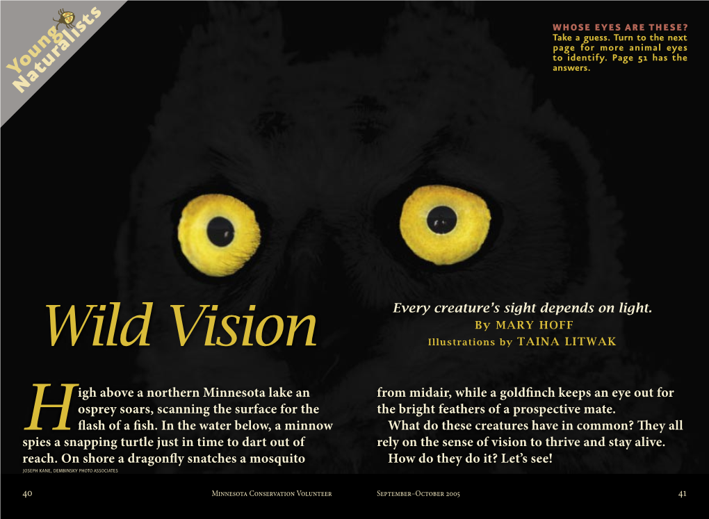 Wild Vision Every Creature's Sight Depends on Light