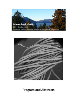Program and Abstracts Microplastics2018 – 28-31 October 2018, Congressi Stefano Franscini, Monte Verità, Ascona, Switzerland