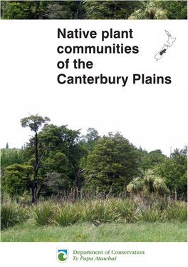 Native Plant Communities of the Canterbury Plains