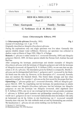 RED SEA MOLLUSCA Part 17 Family : Turridae