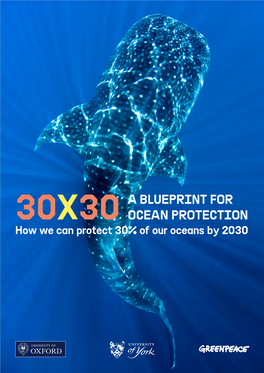 30X30 OCEAN PROTECTION How We Can Protect 30% of Our Oceans by 2030 30X30: a Blueprint for Ocean Protection Acknowledgements