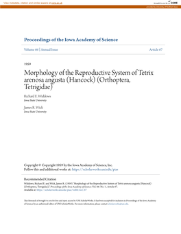 Morphology of the Reproductive System of Tetrix Arenosa Angusta (Hancock) (Orthoptera, Tetrigidae) Richard E