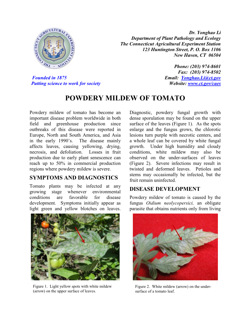 Powdery Mildew of Tomato