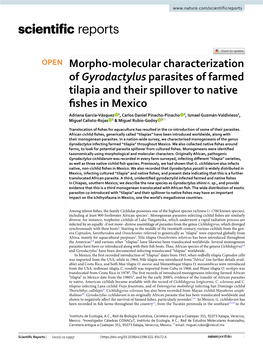 Morpho-Molecular Characterization of Gyrodactylus Parasites of Farmed Tilapia and Their Spillover to Native Fishes in Mexico