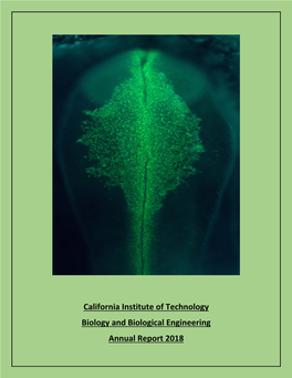 California Institute of Technology Biology and Biological Engineering Annual Report 2018 Introduction