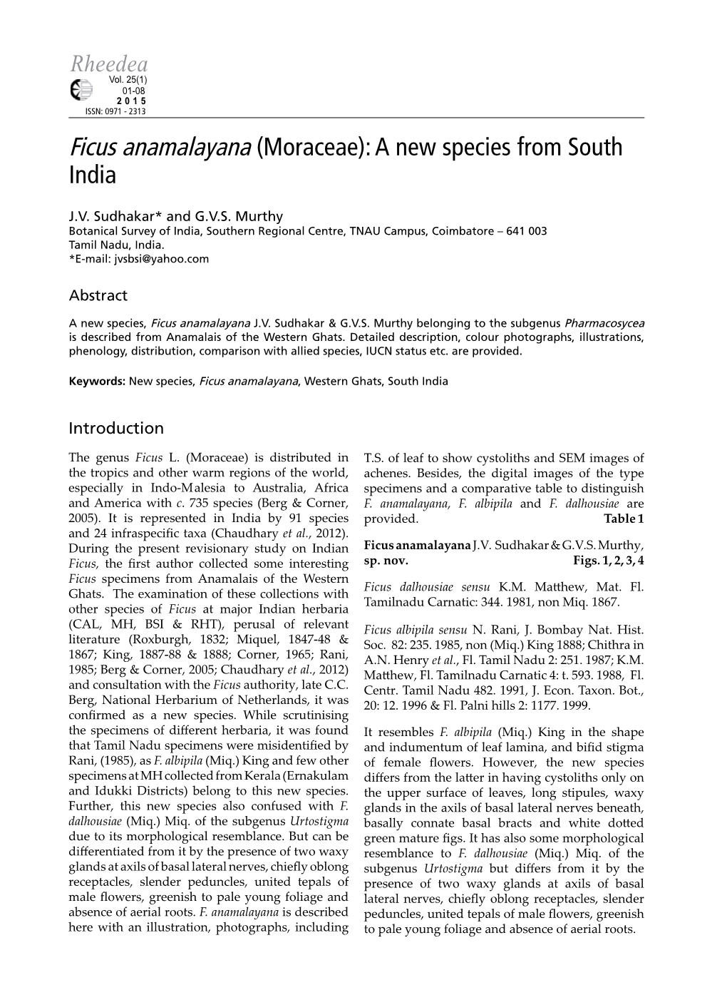 Ficus Anamalayana (Moraceae): a New Species from South India