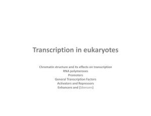 Transcription in Eukaryotes