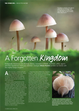 A Forgotten Kingdom Ecologically Industrious and Alluringly Diverse, Australia’S Puffballs, Earthstars, Jellies, Agarics and Their Mycelial Kin Merit Your Attention