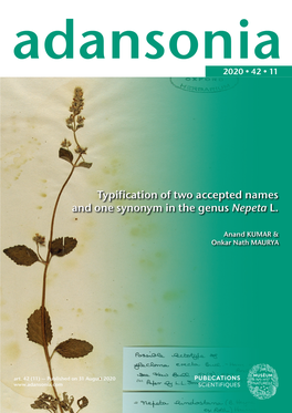 Typification of Two Accepted Names and One Synonym in the Genus Nepeta L