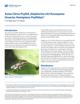 Asian Citrus Psyllid, Diaphorina Citri Kuwayama (Insecta: Hemiptera: Psyllidae)1 F