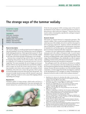 The Strange Ways of the Tammar Wallaby