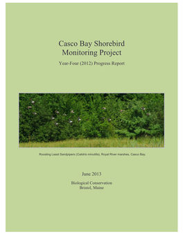 Casco Bay Shorebird Monitoring Project: Year-Four (2012) Progress Report