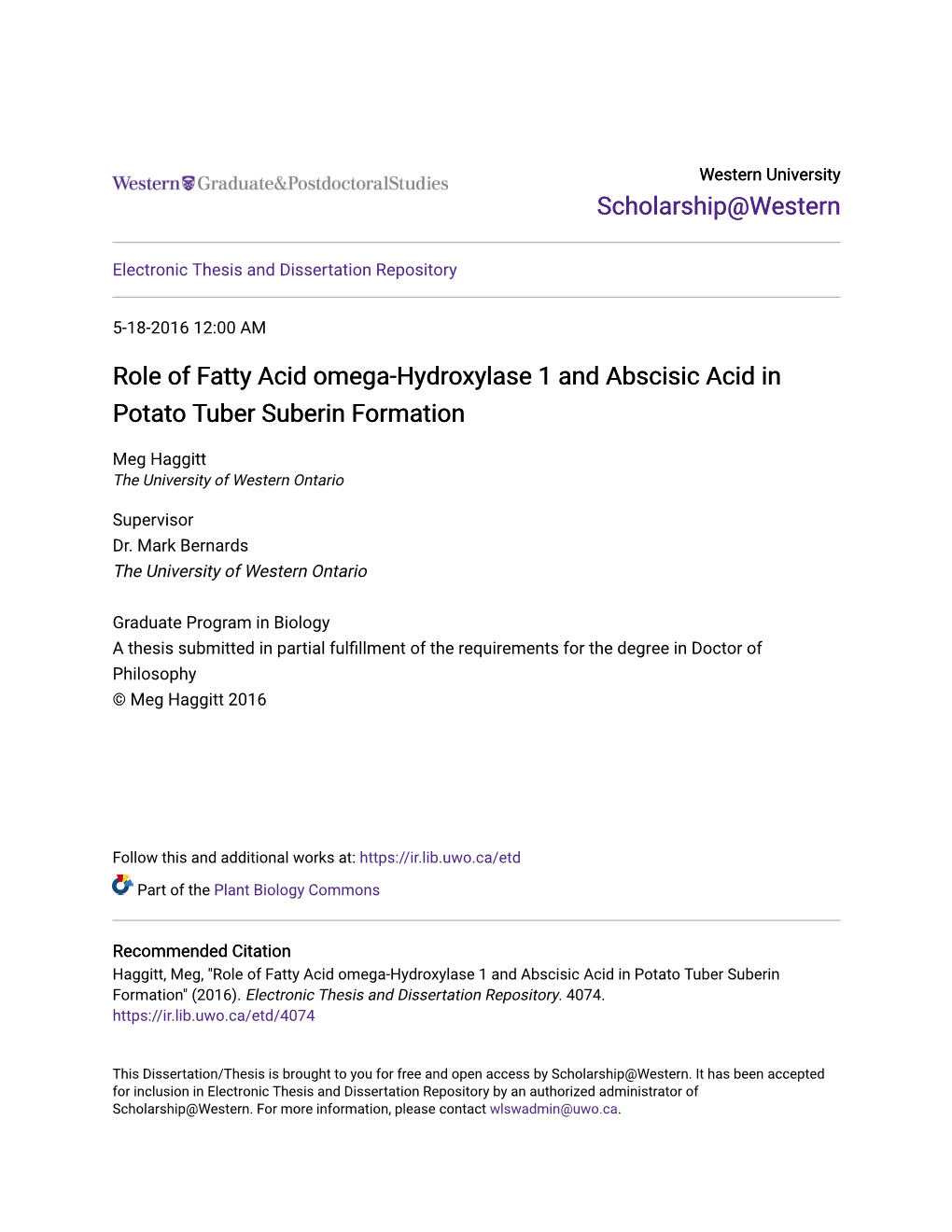 Role of Fatty Acid Omega-Hydroxylase 1 and Abscisic Acid in Potato Tuber Suberin Formation