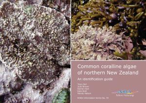 Common Coralline Algae of Northern New Zealand an Identification Guide