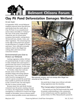 Clay Pit Pond Deforestation Damages Wetland