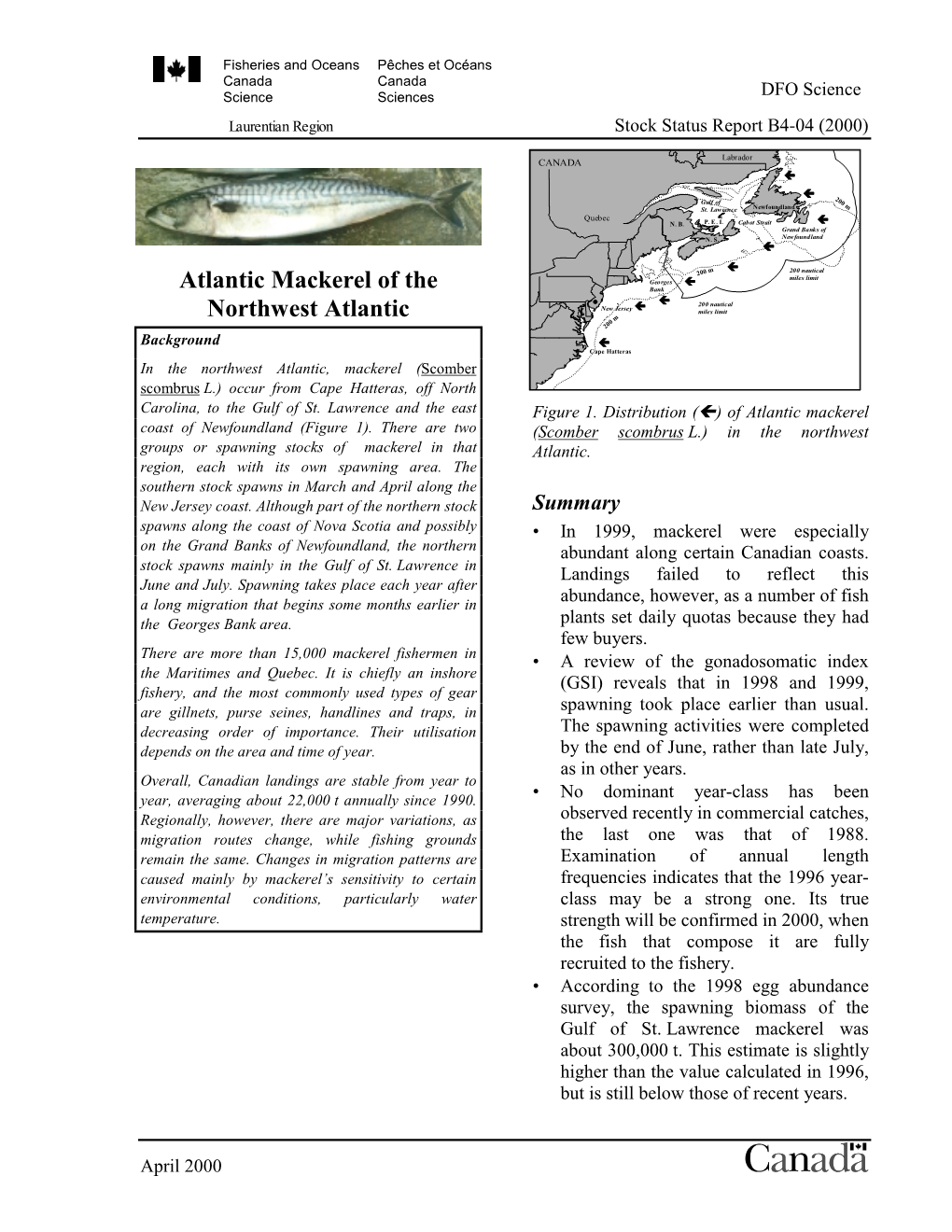 Atlantic Mackerel of the Northwest Atlantic