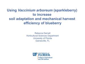 Using Vaccinium Arboreum (Sparkleberry) to Increase Soil Adaptation and Mechanical Harvest Efficiency of Blueberry