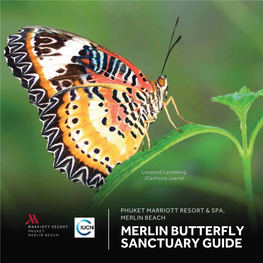 Butterfly Guidebook