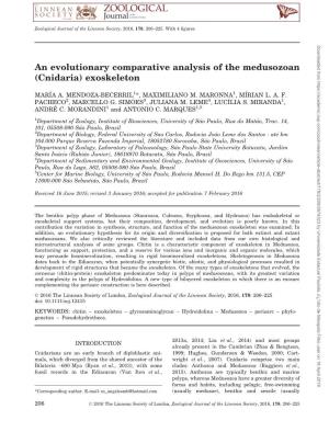 An Evolutionary Comparative Analysis of the Medusozoan (Cnidaria) Exoskeleton