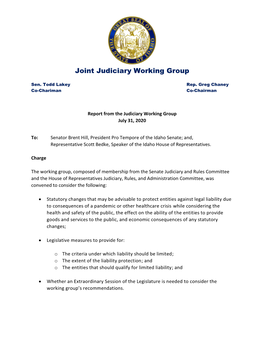 Joint Judiciary Working Group