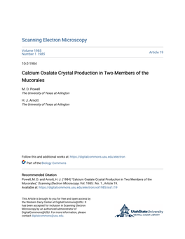 Calcium Oxalate Crystal Production in Two Members of the Mucorales