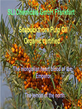 SLI Chemicals Gmbh Frankfurt Seabuckthorn Pulp Oil Organic Certified