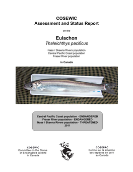 Eulachon (Thaleichthys Pacificus) in Canada, Prepared Under Contract with Environment Canada and Overseen by Howard Powles