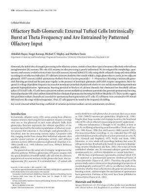 Olfactory Bulb Glomeruli: External Tufted Cells Intrinsically Burst at Theta Frequency and Are Entrained by Patterned Olfactory Input