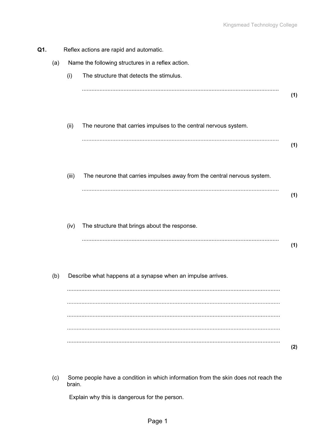 The-Nervous-System-3.Pdf