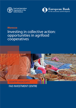 Morocco – Investing in Collective Action: in Agrifood Cooperatives Opportunities