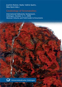 Geobiology of Stromatolites Benthic Biosystems
