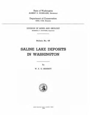Saline Lake Deposits in Washington