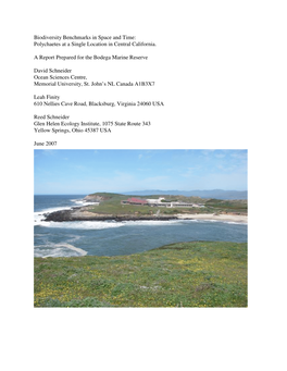 Biodiversity Benchmarks in Space and Time: Polychaetes at a Single Location in Central California. a Report Prepared for The
