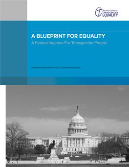 A Blueprint for Equality: a Federal Agenda for Transgender People