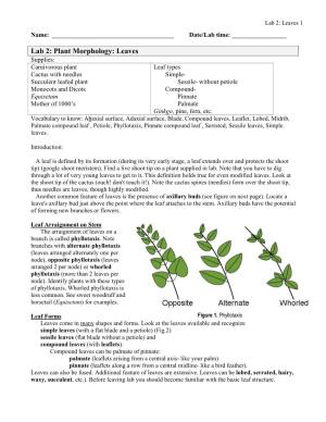 Lab 2: Plant Morphology: Leaves