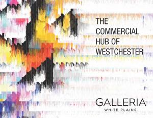The Commercial Hub of Westchester Westchester, NY