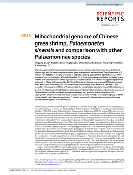 Mitochondrial Genome of Chinese Grass Shrimp, Palaemonetes Sinensis and Comparison with Other Palaemoninae Species