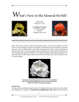 What's New in the Mineral World?