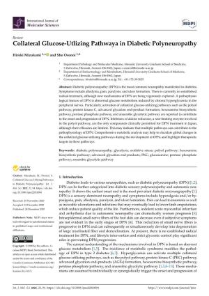Collateral Glucose-Utlizing Pathwaya in Diabetic Polyneuropathy